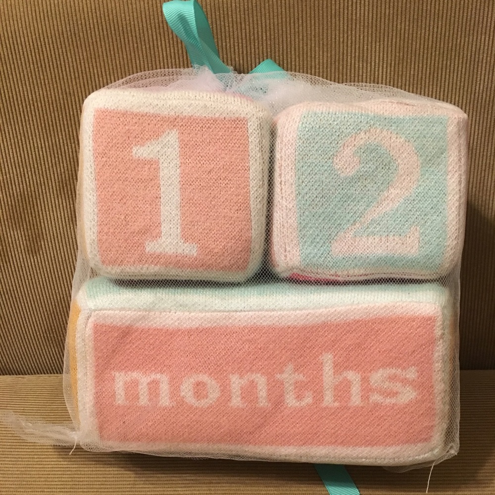 Baby Milestones Blocks